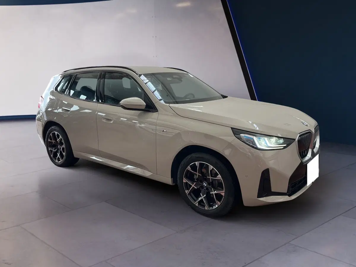 BMW X3 usata a Torino (3)