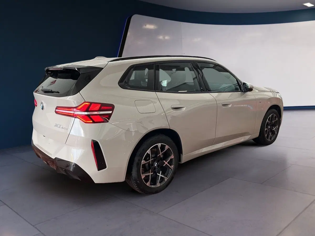 BMW X3 usata a Torino (4)