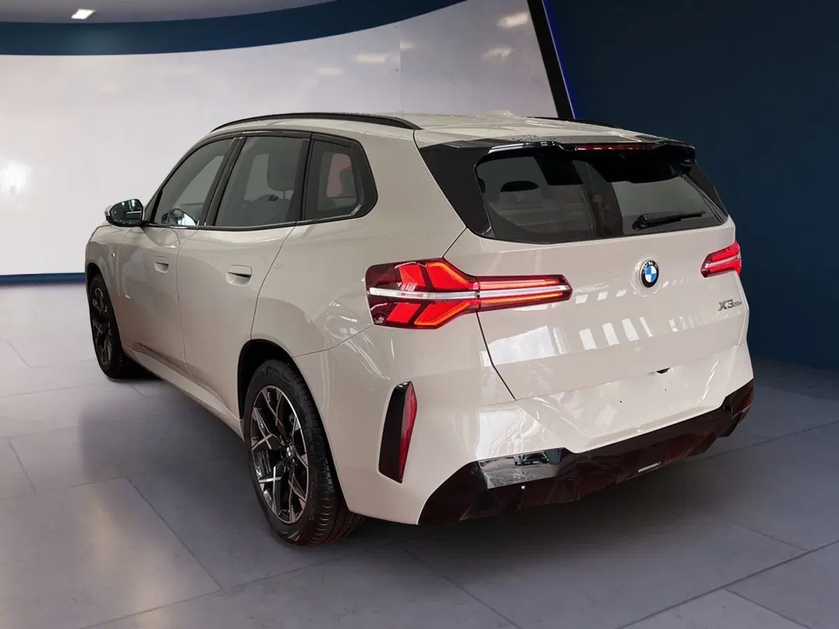 BMW X3 usata a Torino (6)