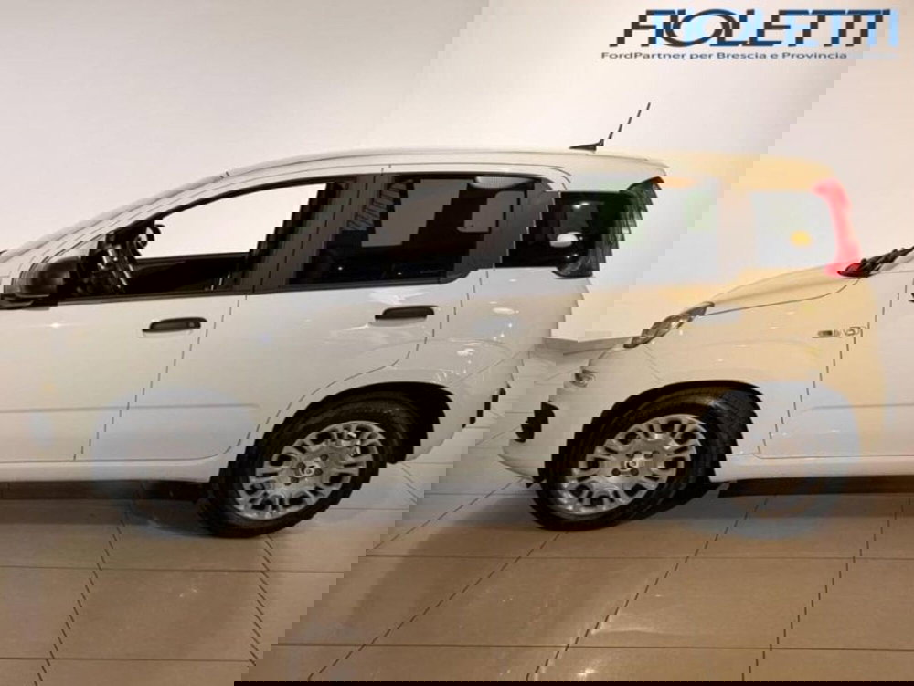 Fiat Panda usata a Brescia (3)