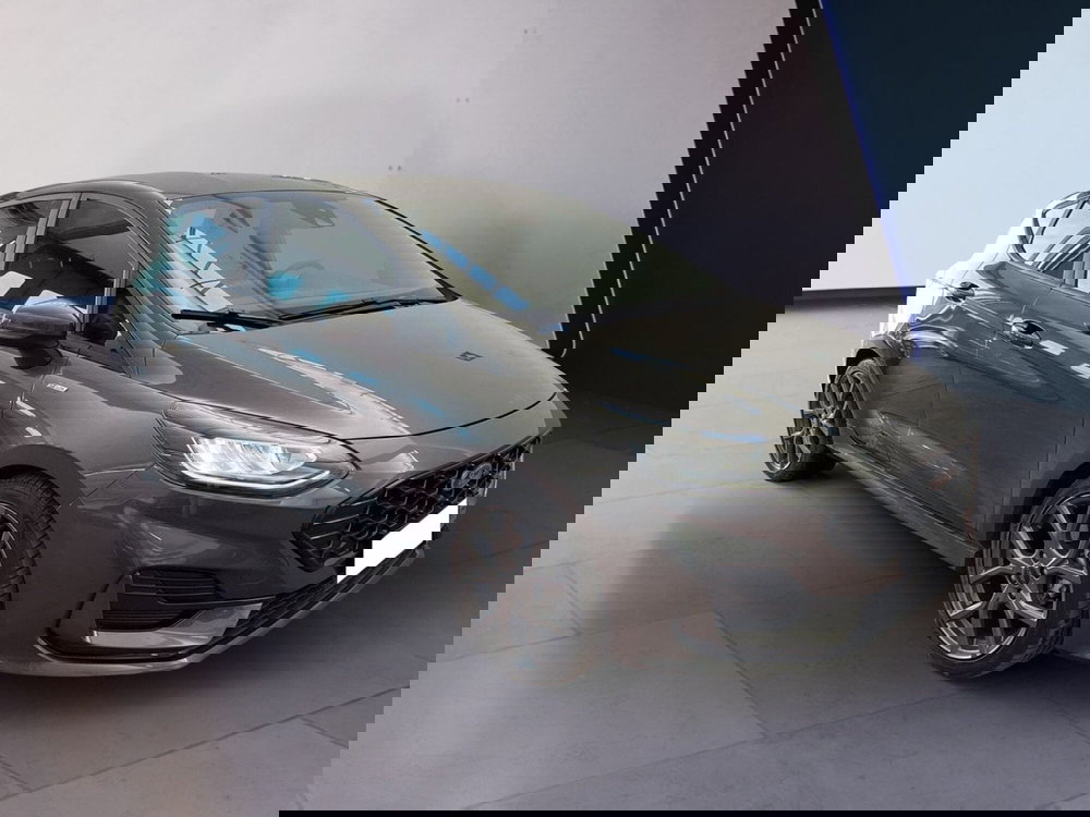 Ford Fiesta usata a Torino (2)