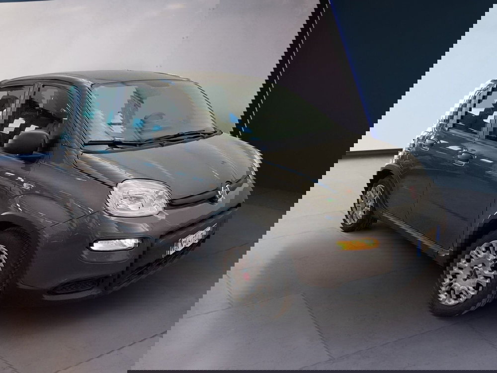 Fiat Panda usata a Torino (2)