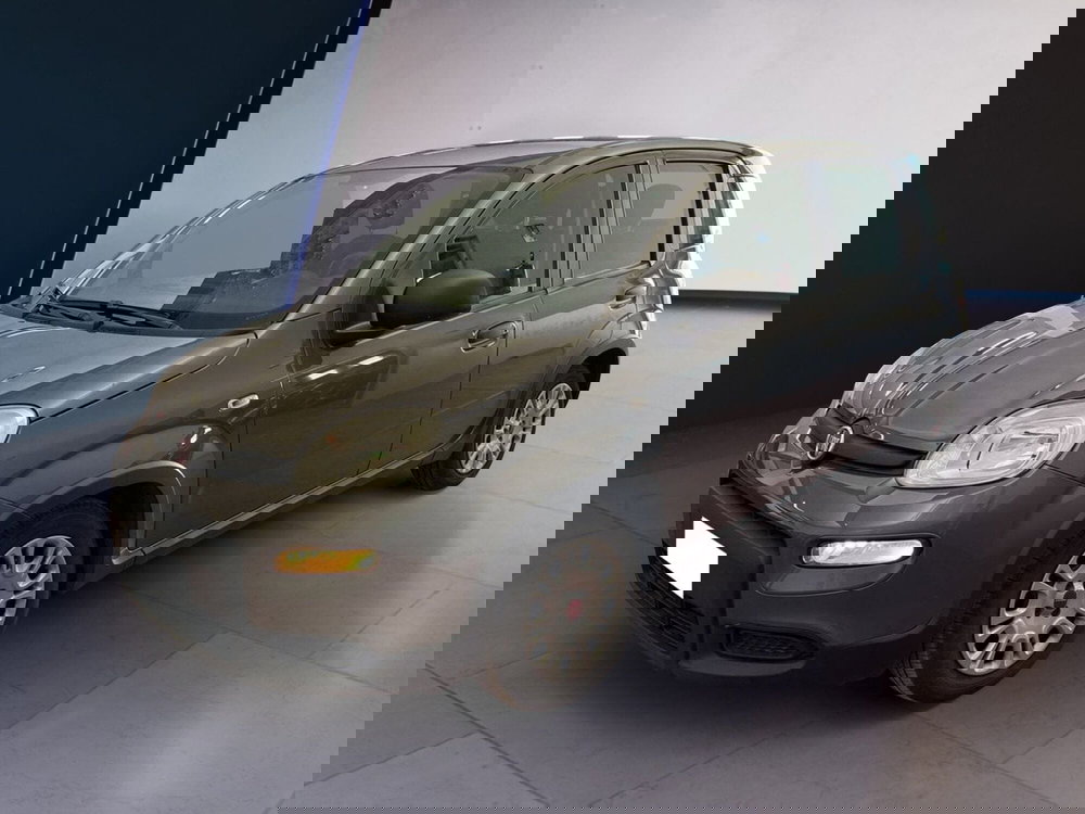 Fiat Panda usata a Torino (3)