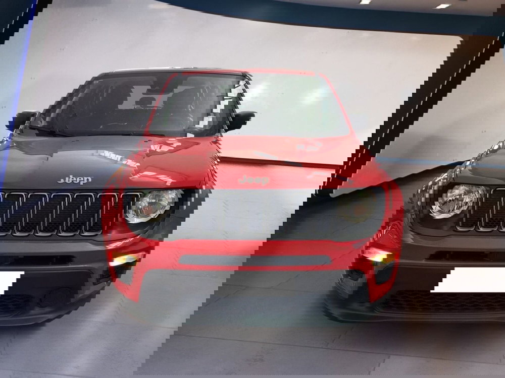 Jeep Renegade usata a Torino