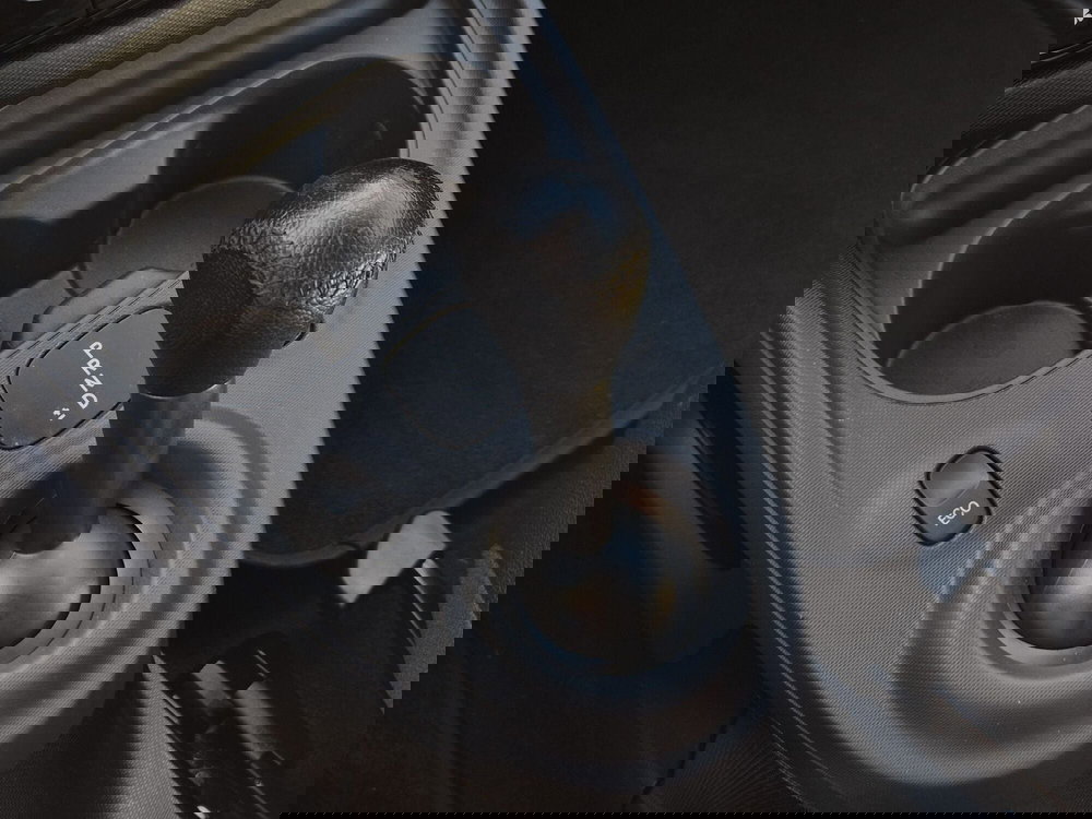 smart Fortwo usata  (9)