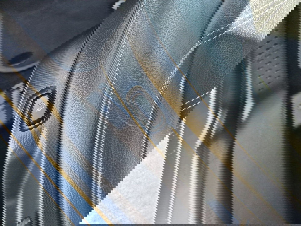 smart Fortwo usata  (16)