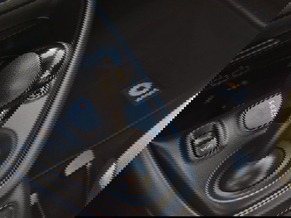 smart Fortwo usata  (9)