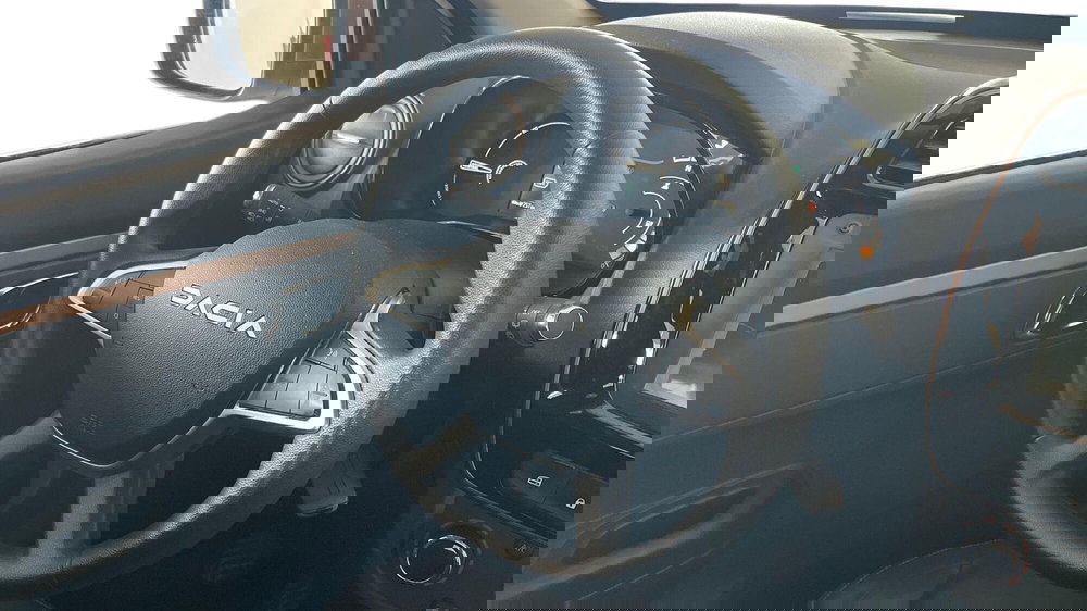 Dacia Spring usata a Catania (7)