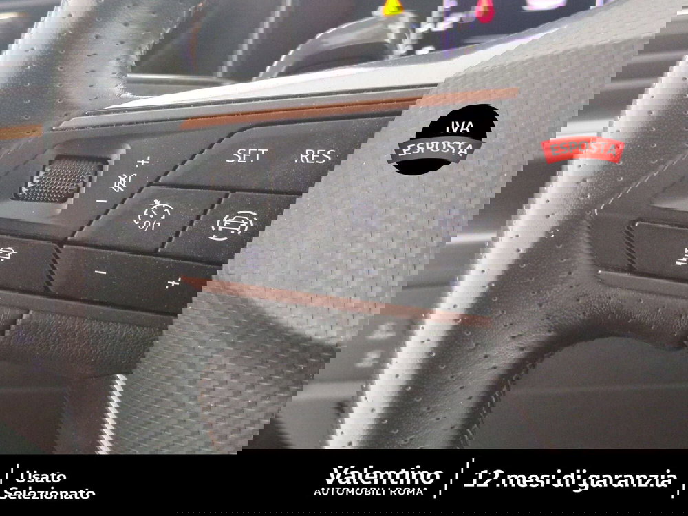 Cupra Formentor usata a Roma (12)