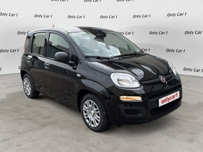 Fiat Panda Cross Cross 1.0 FireFly S&amp;S Hybrid nuova a Poggio Renatico