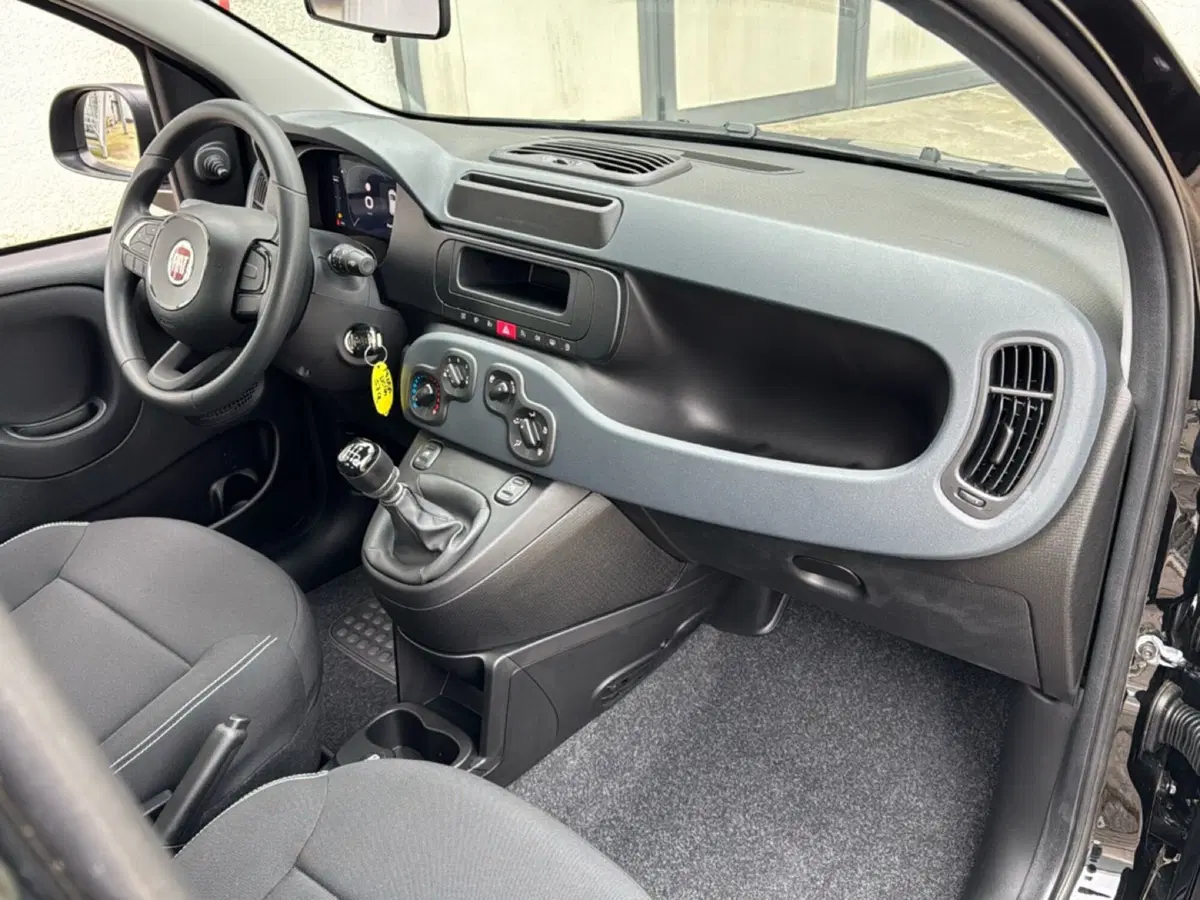 Fiat Panda Cross nuova a Ferrara (12)
