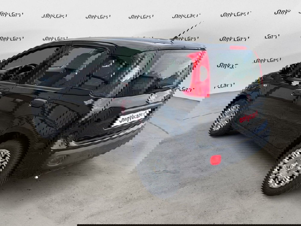 Fiat Panda Cross nuova a Ferrara (5)