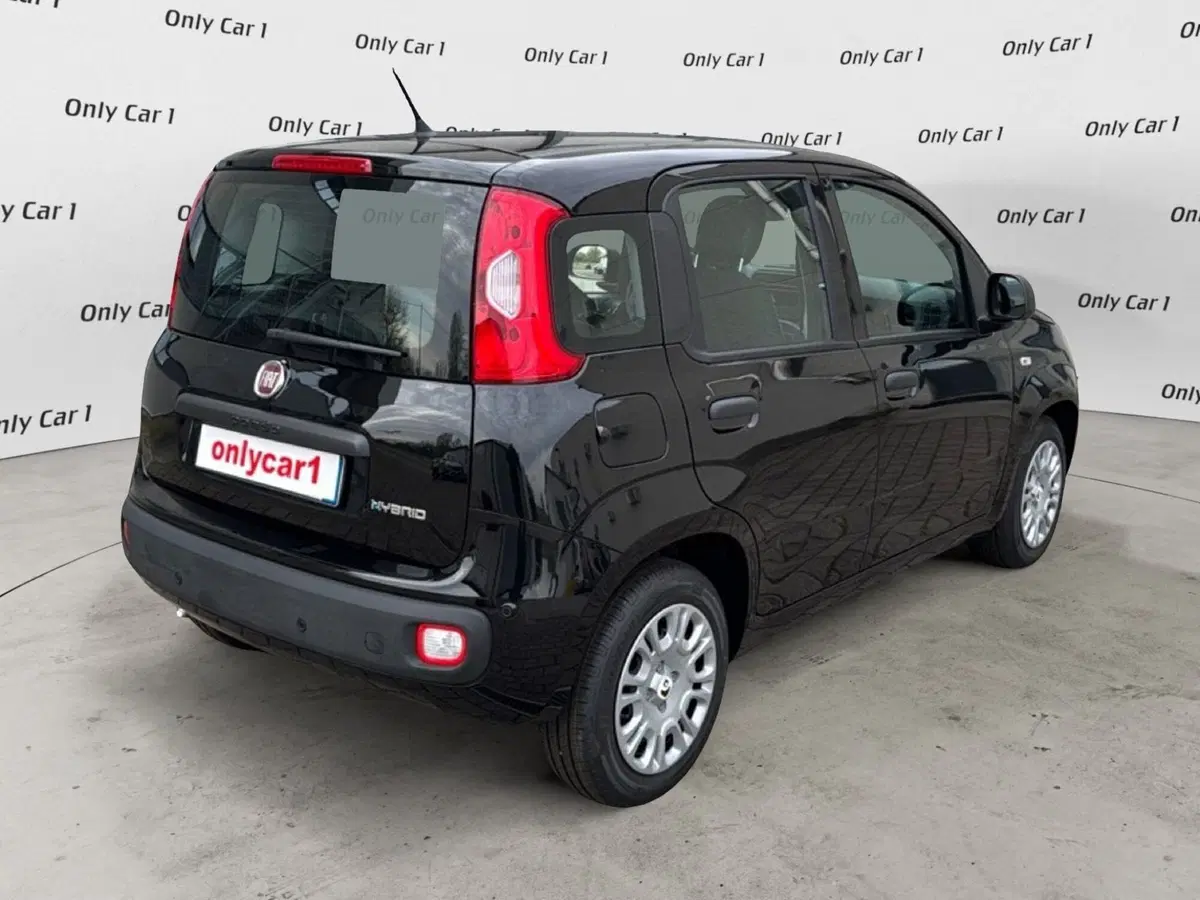 Fiat Panda Cross nuova a Ferrara (6)