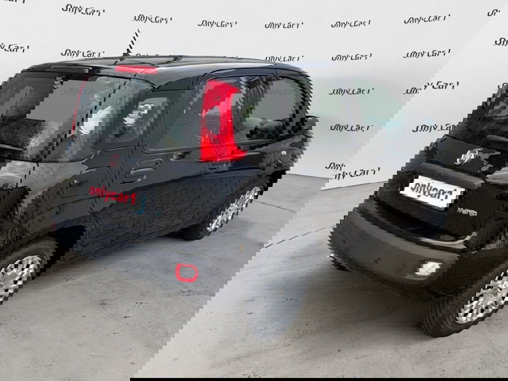 Fiat Panda Cross nuova a Ferrara (6)