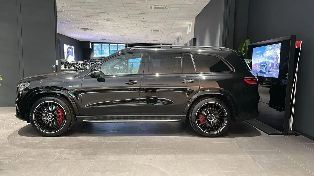 Mercedes-Benz GLS SUV usata a Pescara (3)