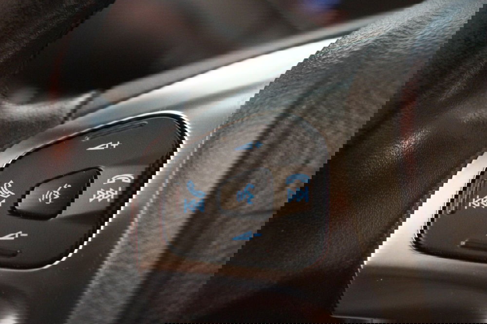 Ford EcoSport usata a Torino (13)