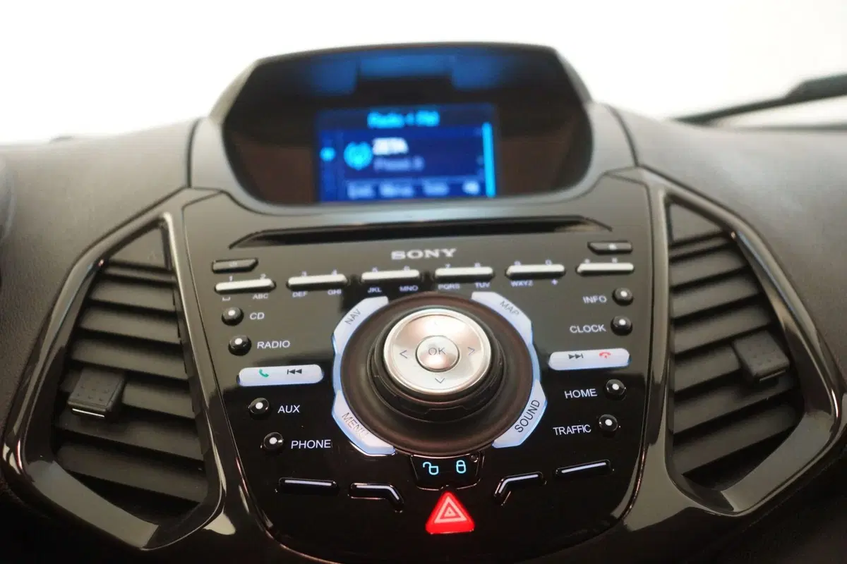 Ford EcoSport usata a Torino (16)