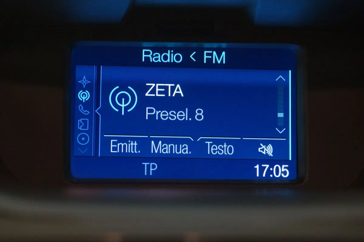 Ford EcoSport usata a Torino (17)