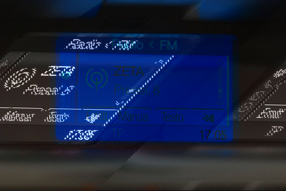 Ford EcoSport usata a Torino (17)