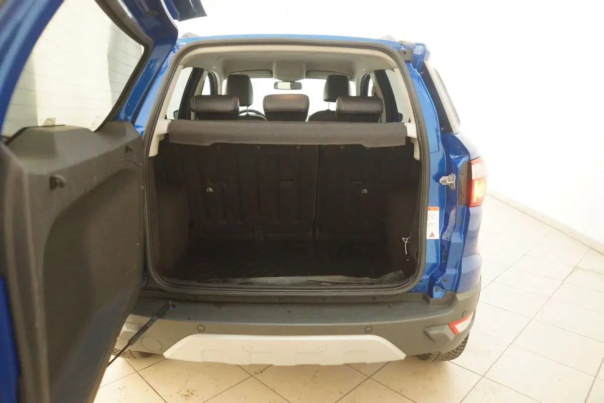 Ford EcoSport usata a Torino (7)