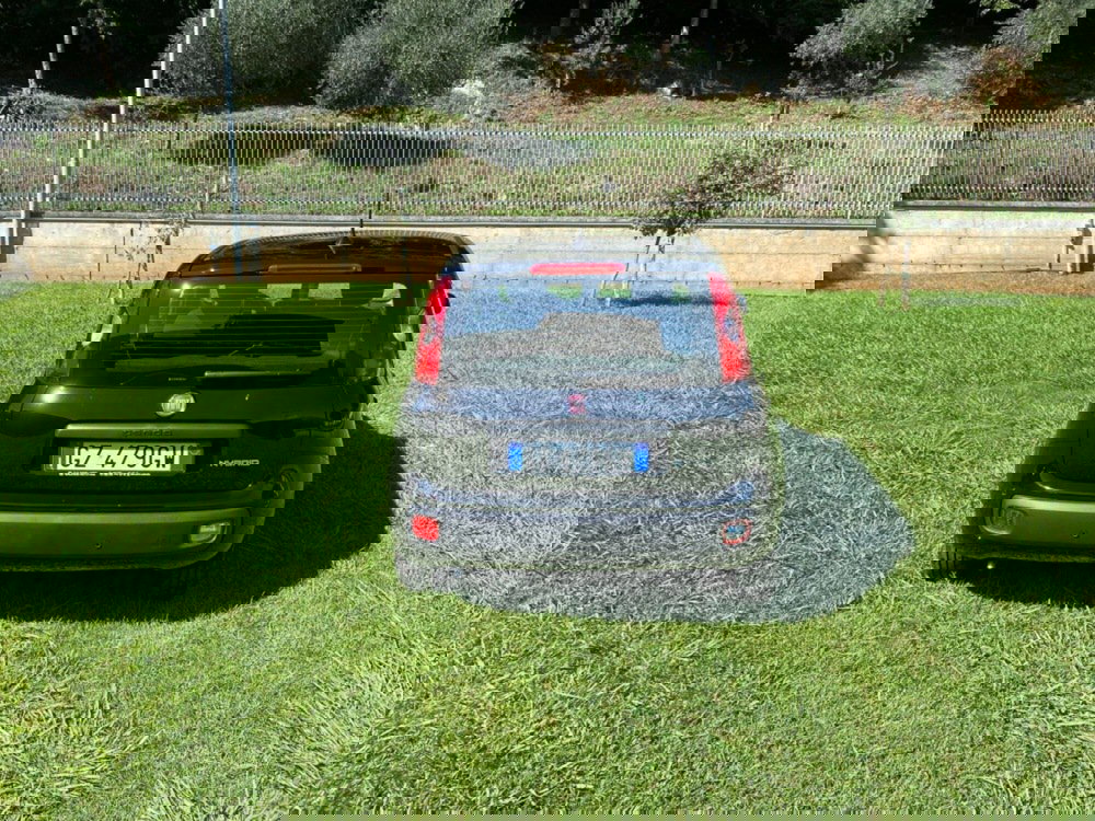 Fiat Panda nuova a Salerno (11)