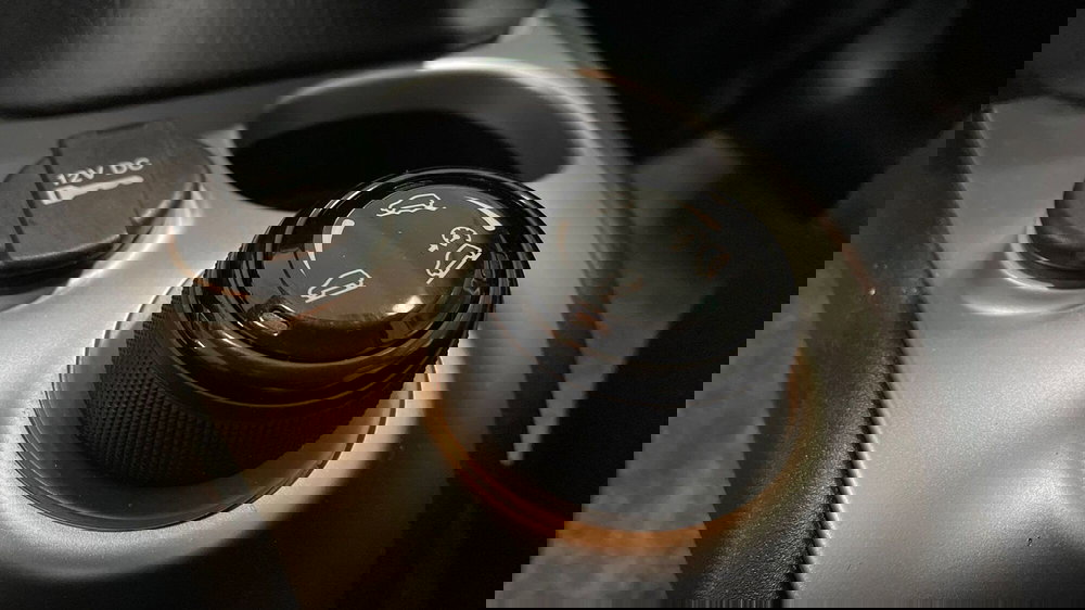 Fiat Panda Cross usata a Varese (13)