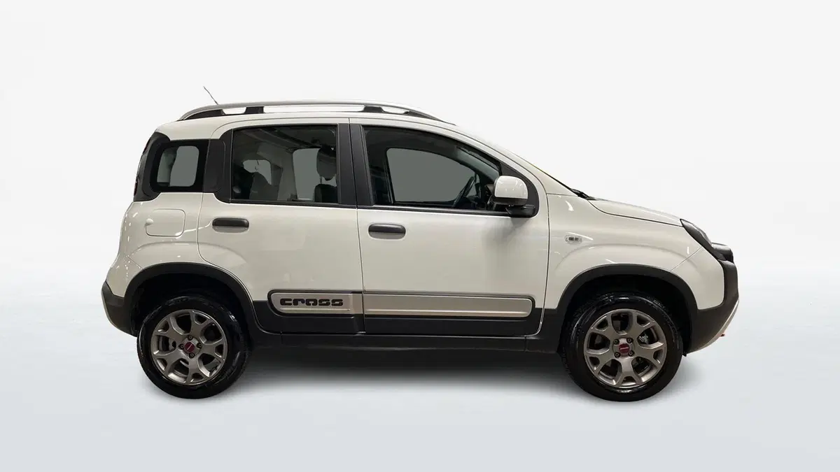 Fiat Panda Cross usata a Varese (4)