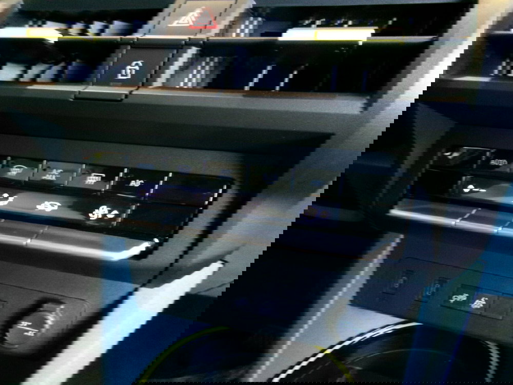 Fiat Grande Panda usata a Venezia (15)