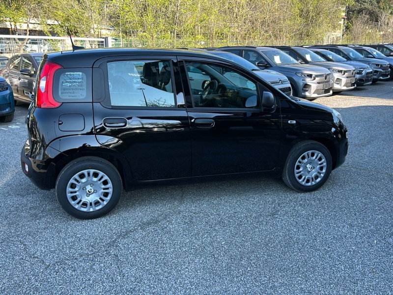 Fiat Pandina nuova a Latina (6)