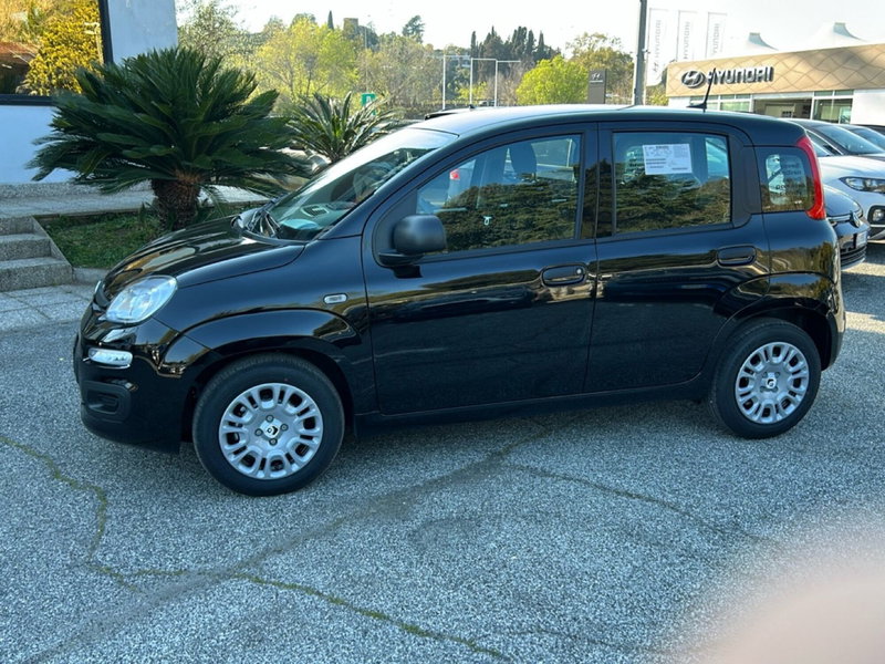 Fiat Pandina nuova a Latina (8)