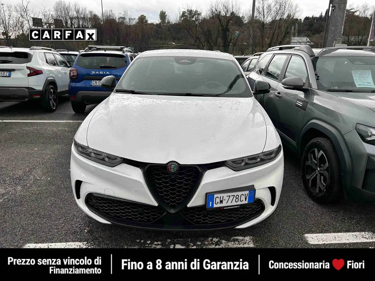 Alfa Romeo Tonale usata a Roma