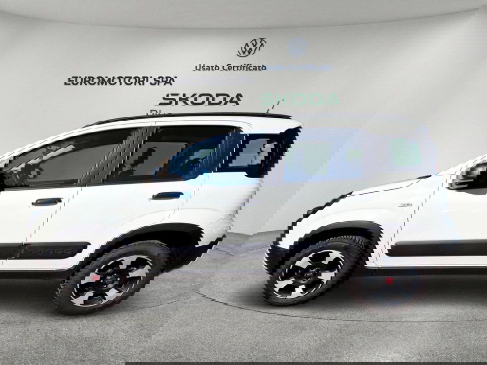 Fiat Panda usata a Siena (2)