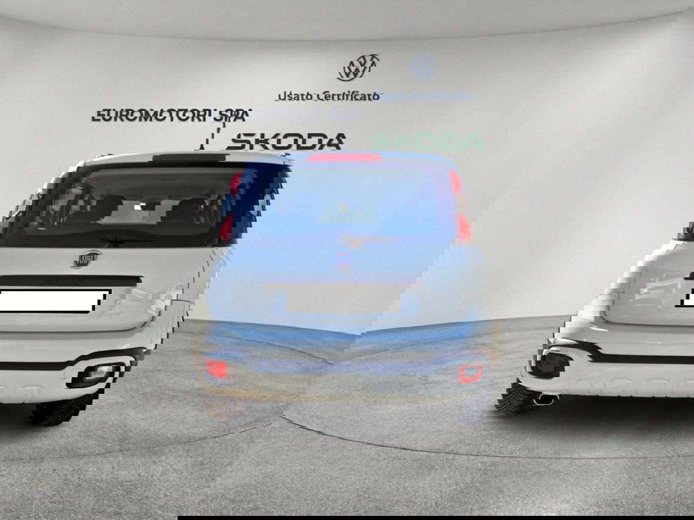 Fiat Panda usata a Siena (4)