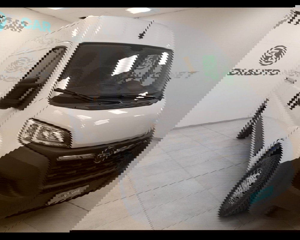 Opel Movano Furgone usata a Alessandria (6)