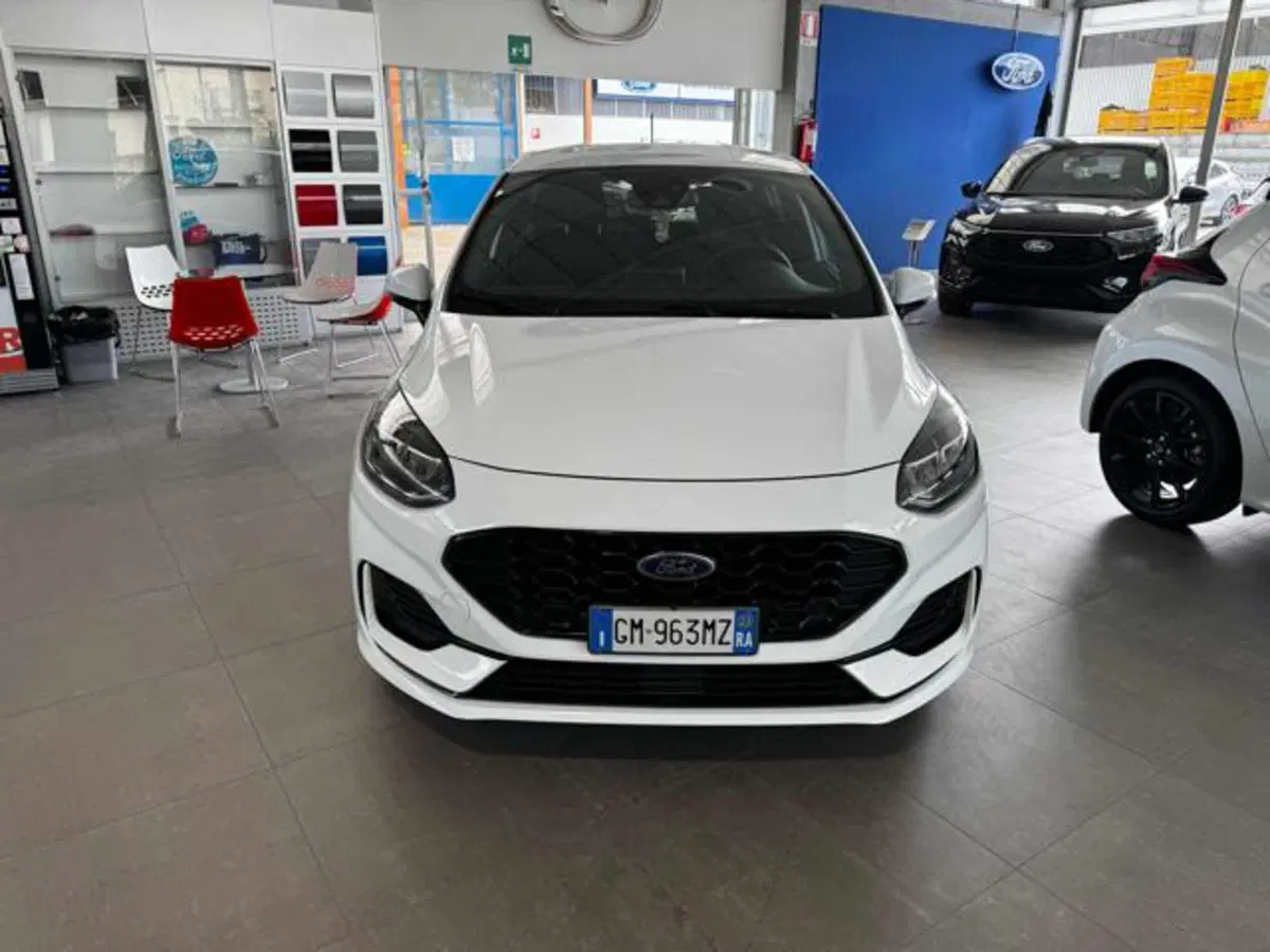 Ford Fiesta usata a Bologna (2)