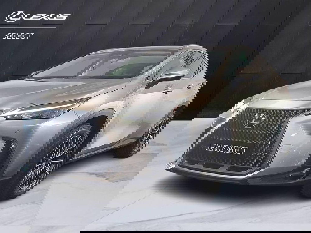 Lexus NX usata a Torino