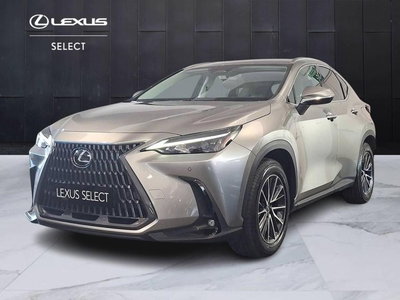 Lexus NX Plug-in 4WD Premium del 2022 usata a Torino