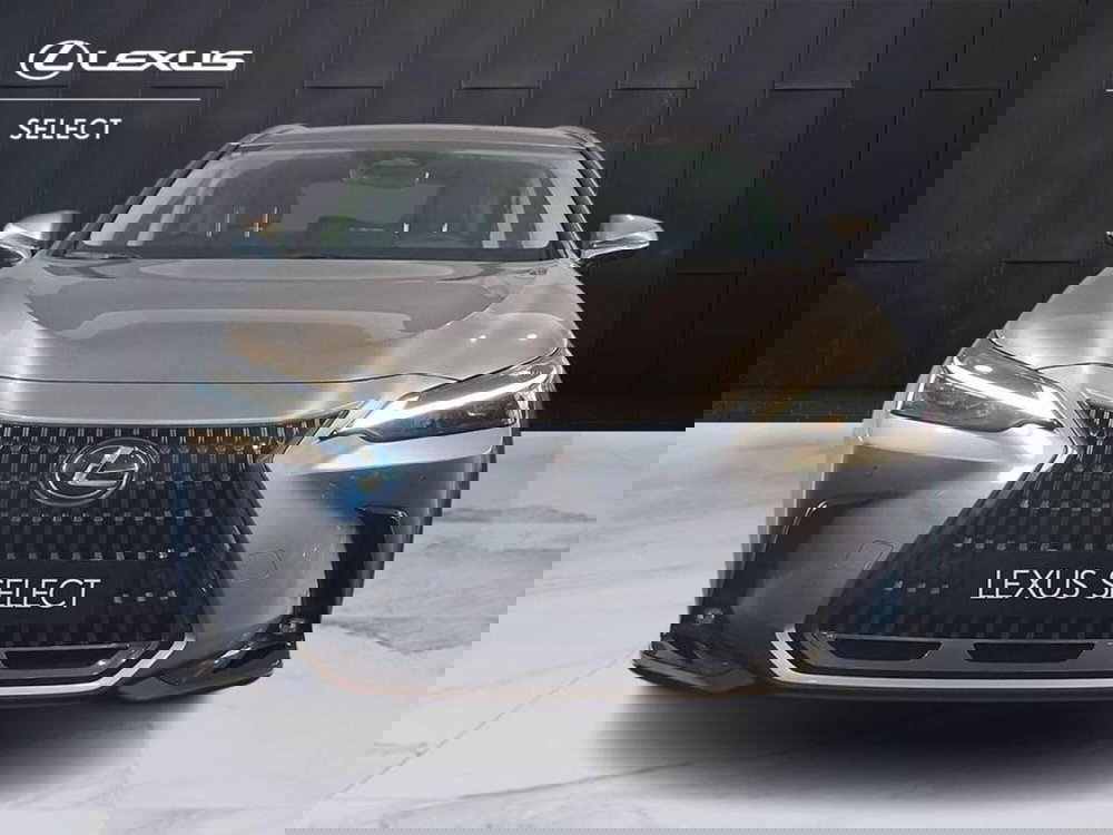 Lexus NX usata a Torino (3)