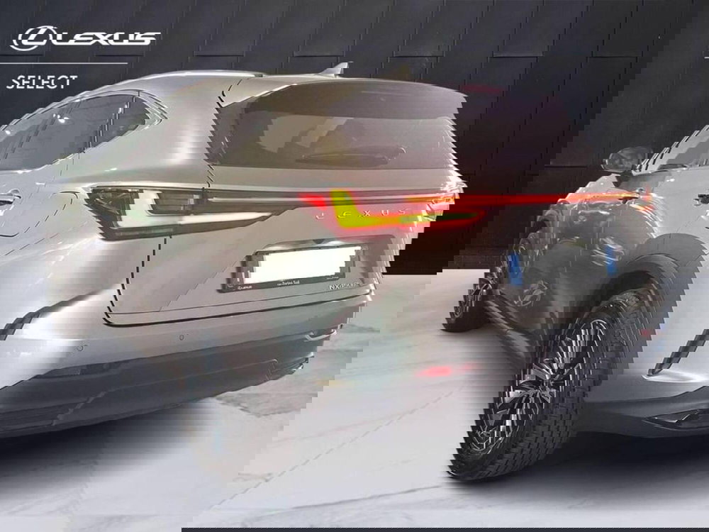 Lexus NX usata a Torino (4)