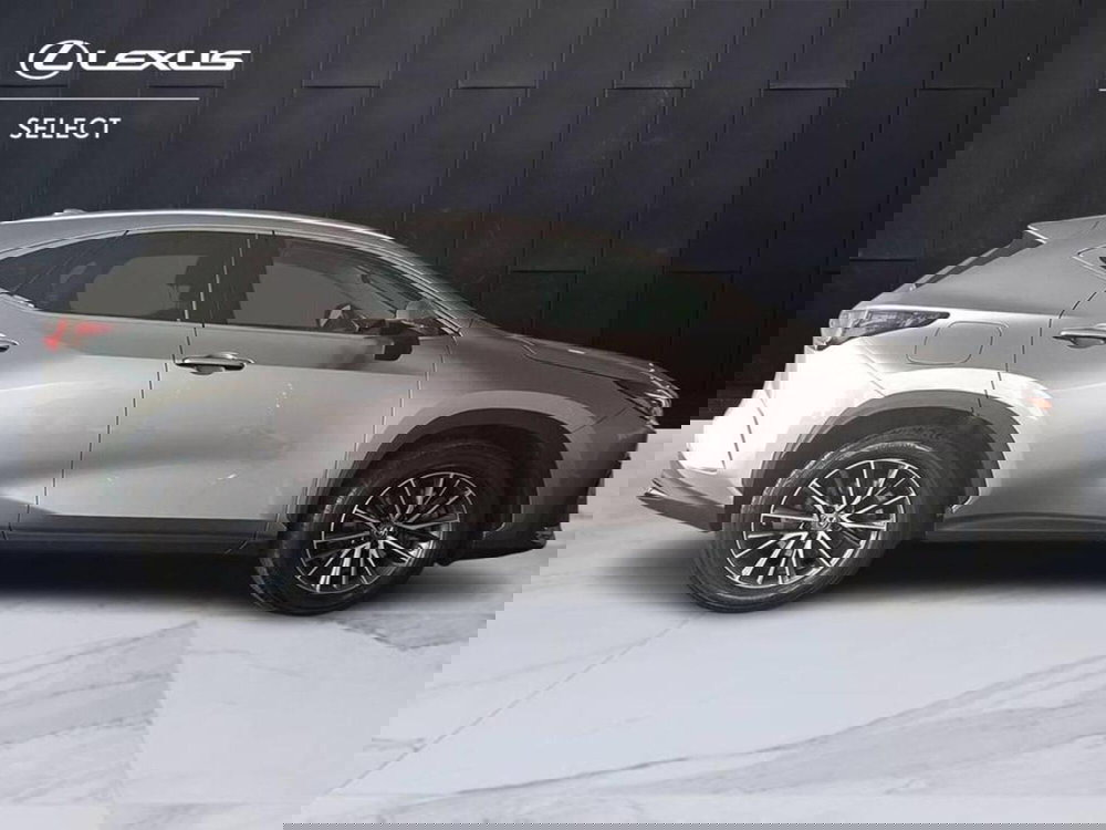 Lexus NX usata a Torino (5)