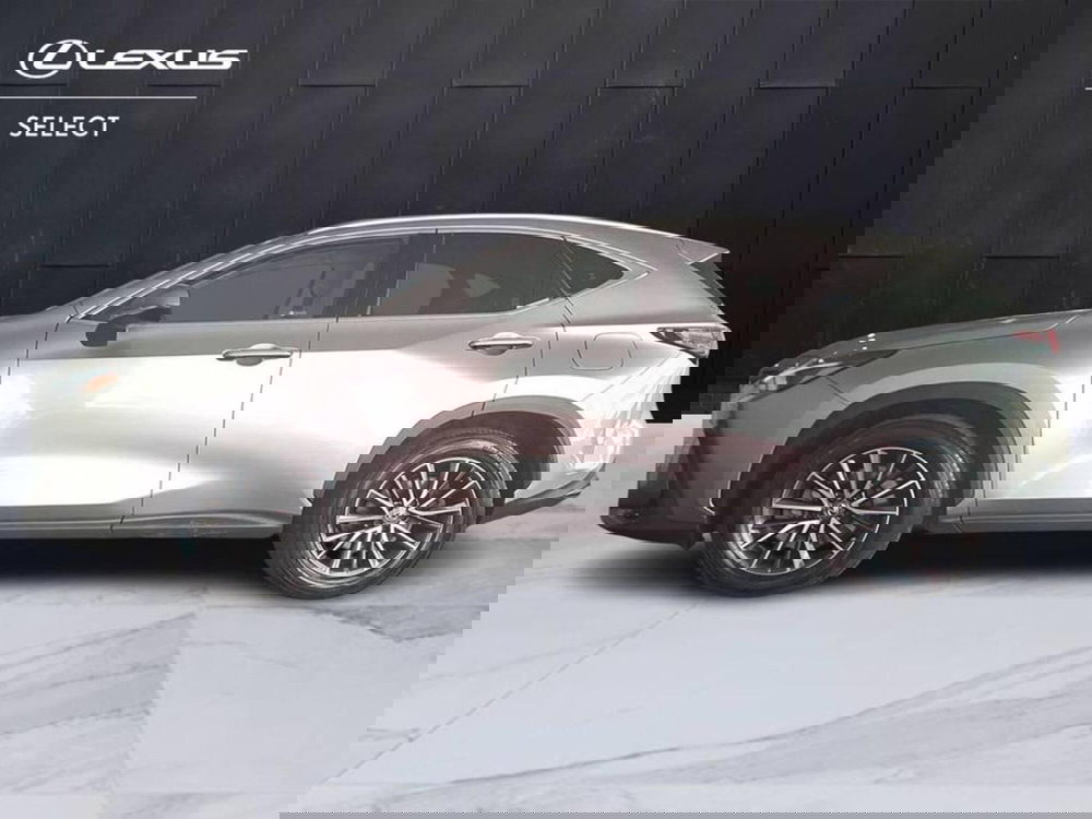 Lexus NX usata a Torino (6)