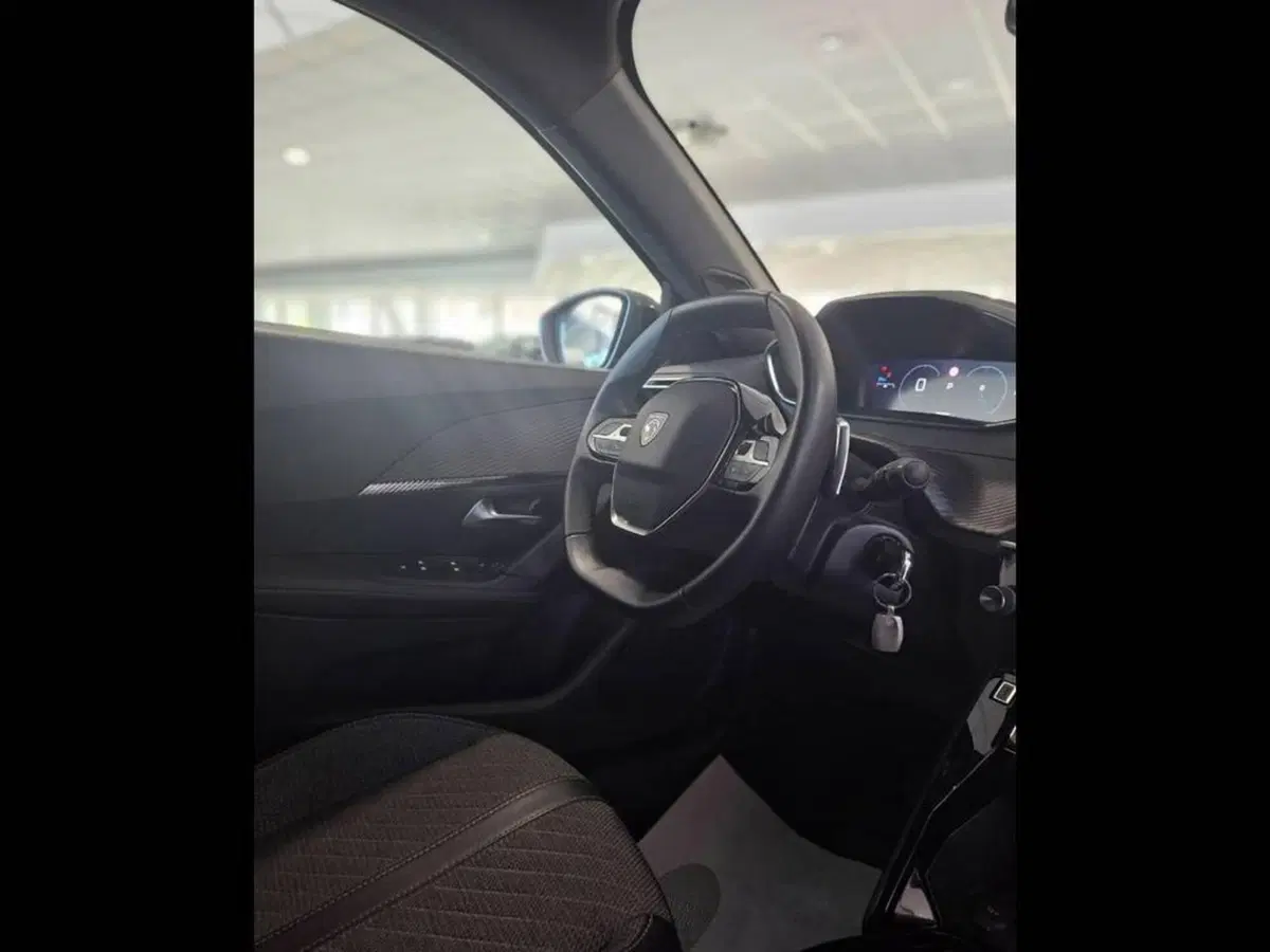 Peugeot 2008 usata a Torino (11)