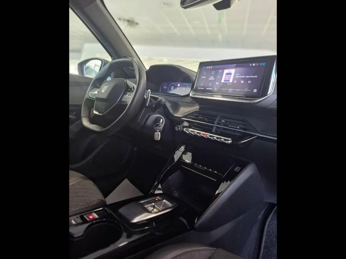 Peugeot 2008 usata a Torino (12)