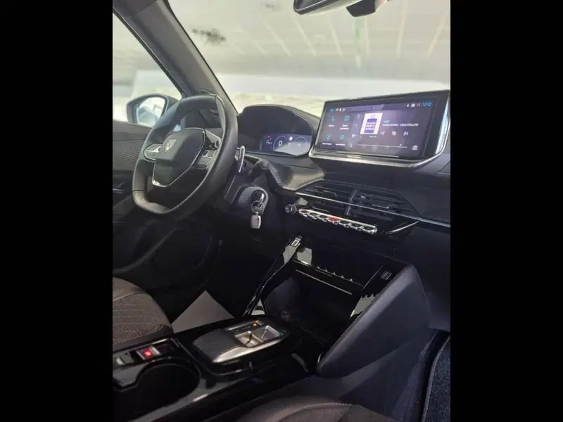 Peugeot 2008 usata a Torino (12)