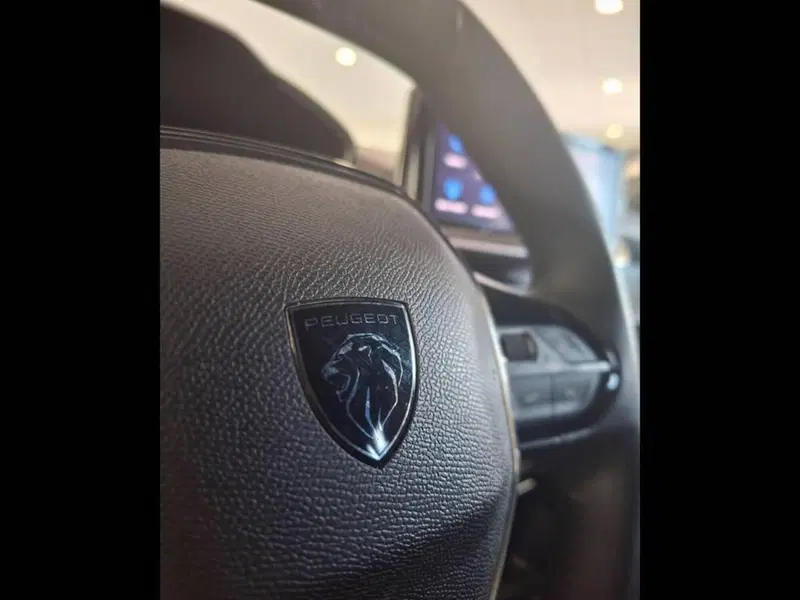Peugeot 2008 usata a Torino (8)
