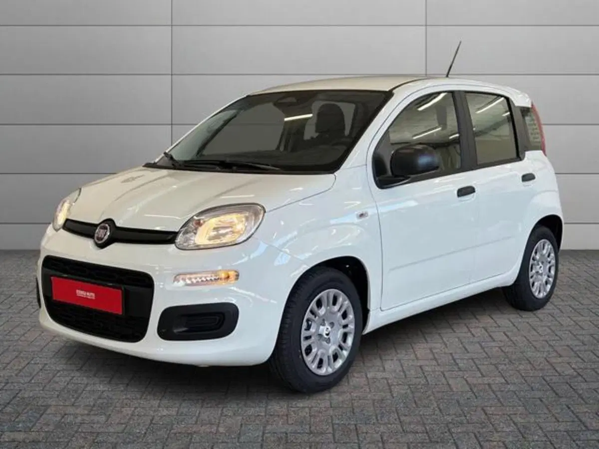 Fiat Pandina nuova a Vercelli