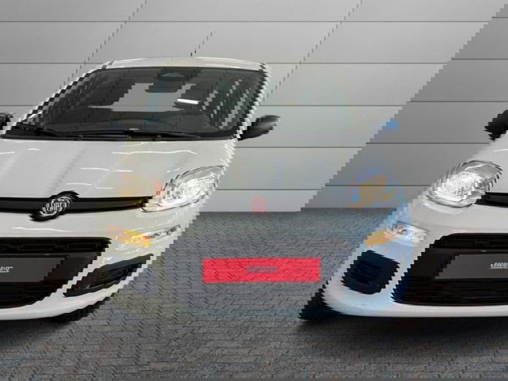 Fiat Pandina nuova a Vercelli (2)