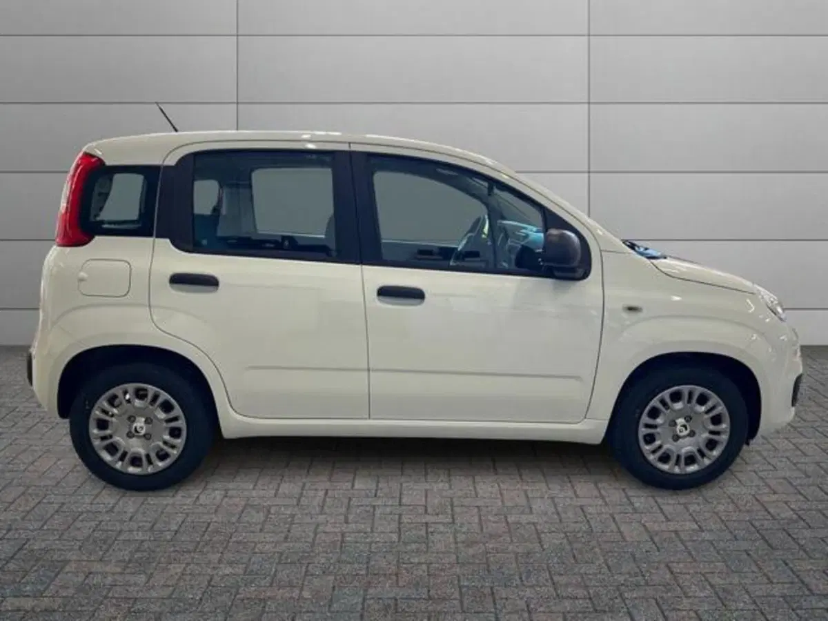 Fiat Pandina nuova a Vercelli (3)