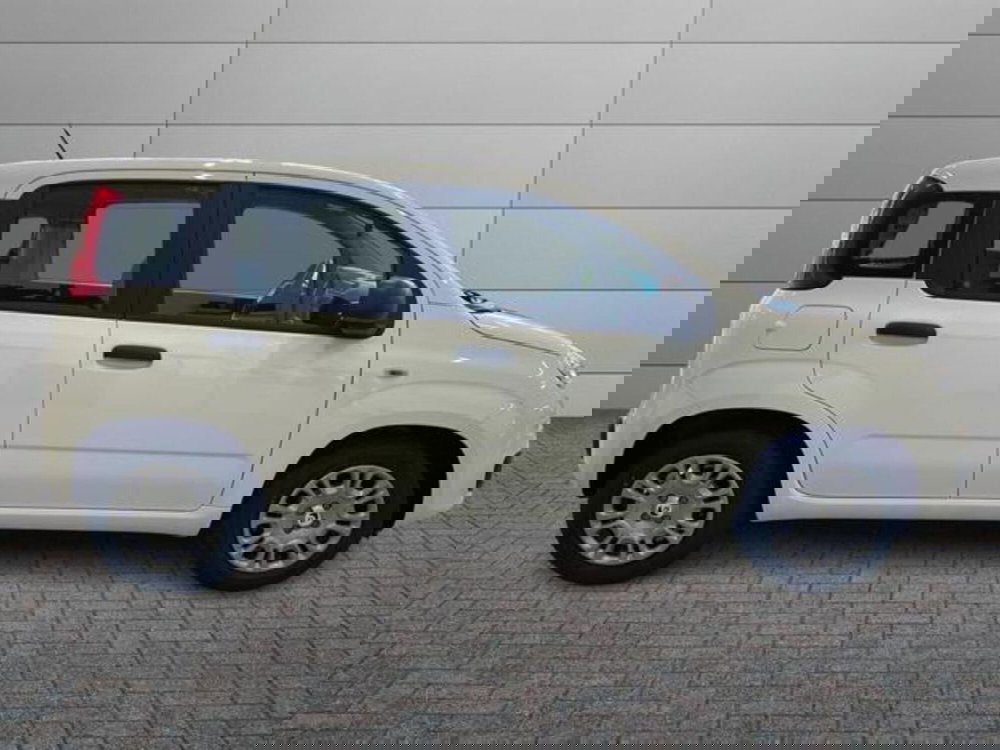 Fiat Pandina nuova a Vercelli (3)