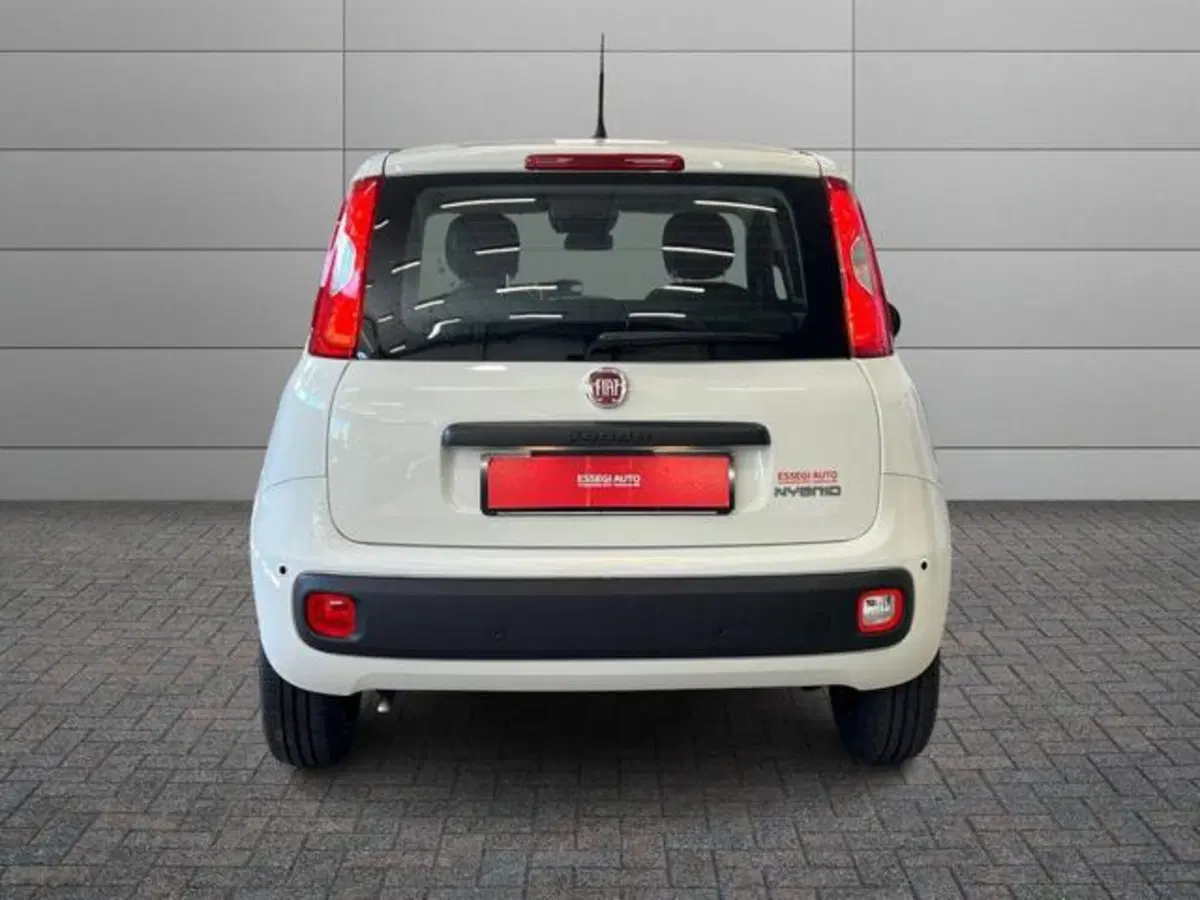 Fiat Pandina nuova a Vercelli (4)